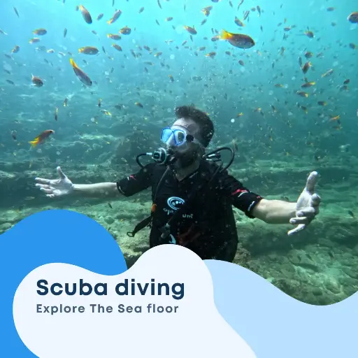 Scuba diving Package